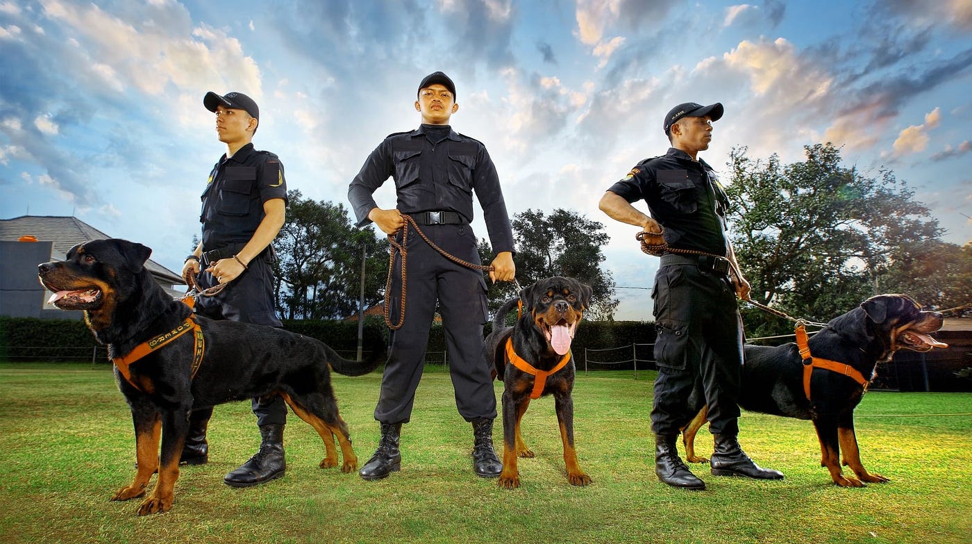 Security Guard 1
